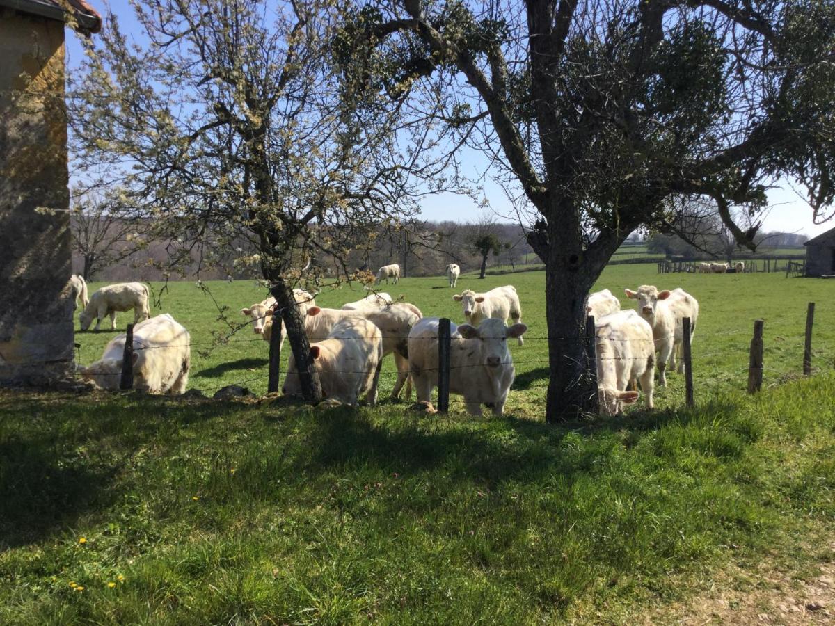 Gite De Belle Vue Semur-en-Brionnais Esterno foto