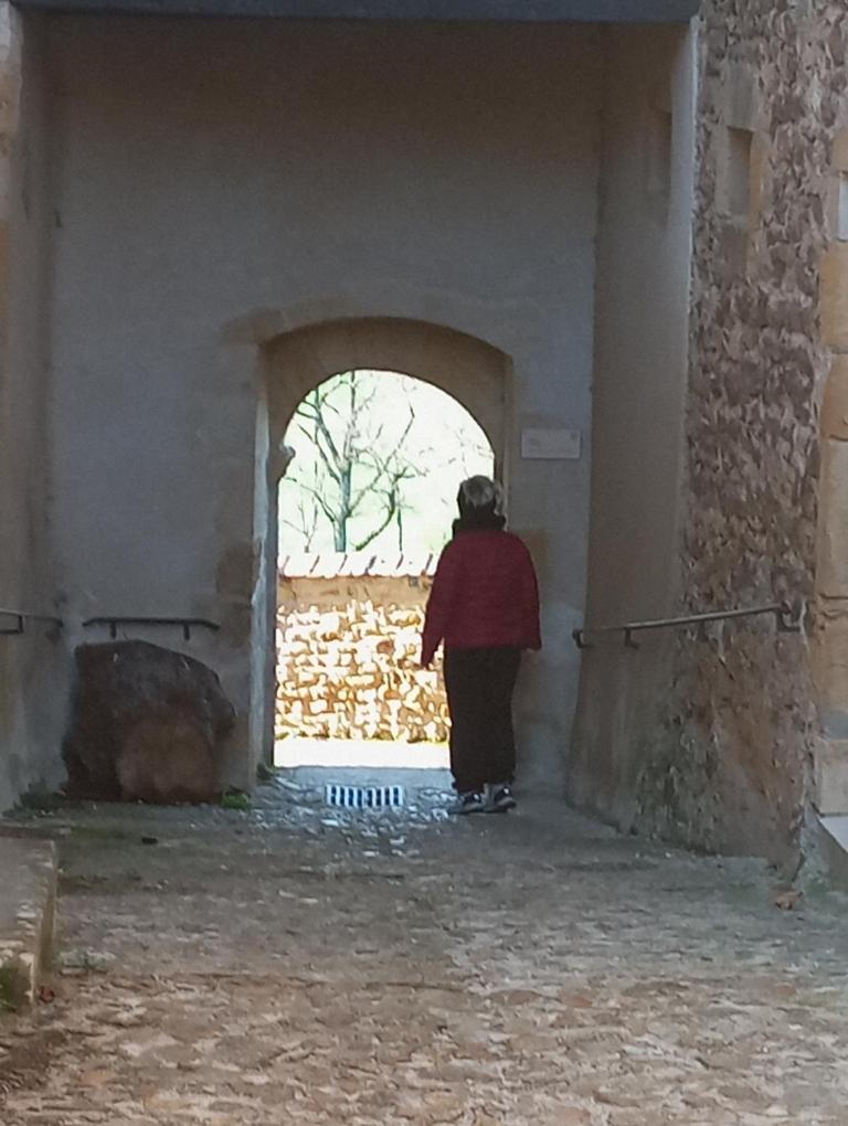 Gite De Belle Vue Semur-en-Brionnais Esterno foto
