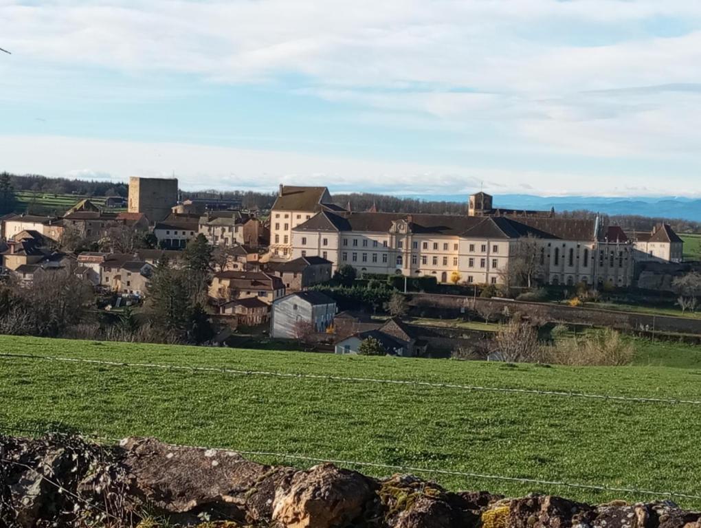 Gite De Belle Vue Semur-en-Brionnais Esterno foto
